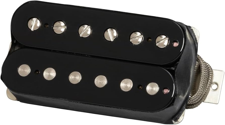 Amazon.com: Gibson Custombucker Pickup, Double Black : Musical